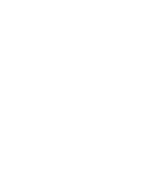 System ZAP