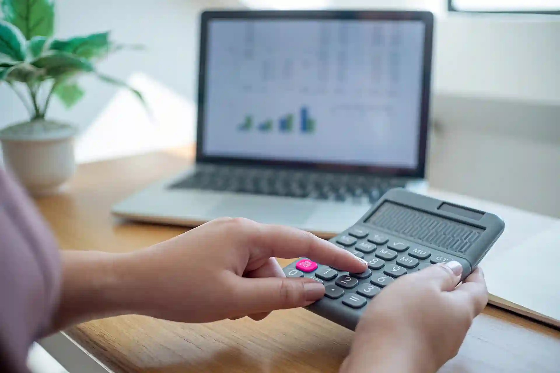 Logiciel de gestion Zapsis